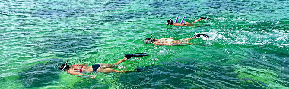 Private snorkeling trips Three women snorkeling